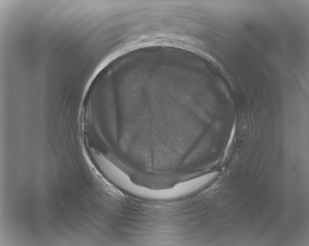 X0000056381522200509232211