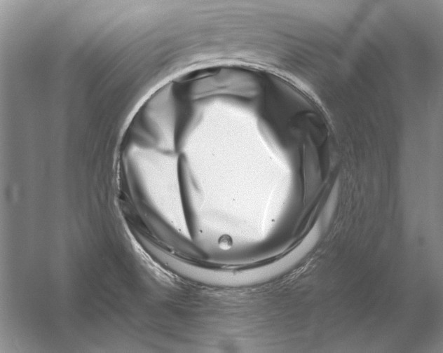 X0000056381524200509232211