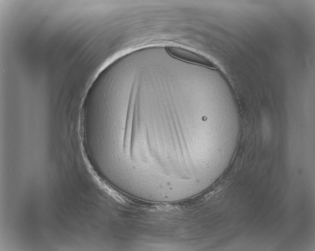 X0000056381526200509232211