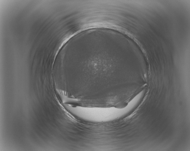 X0000056381529200509232211