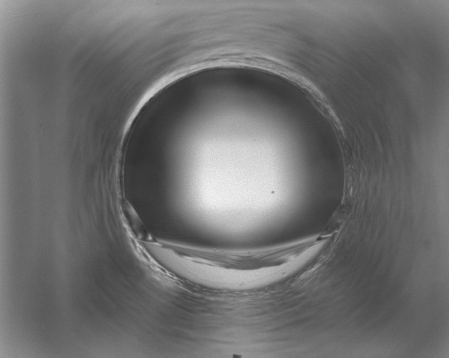 X0000056381530200509232211