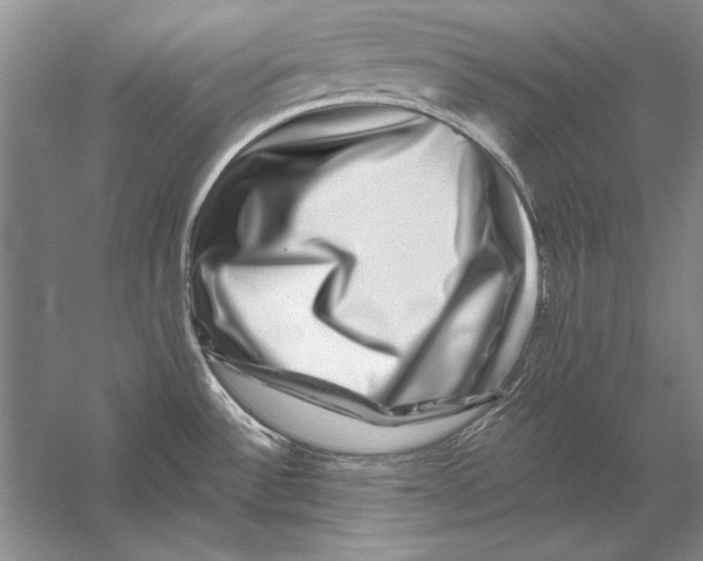 X0000056381532200509232211