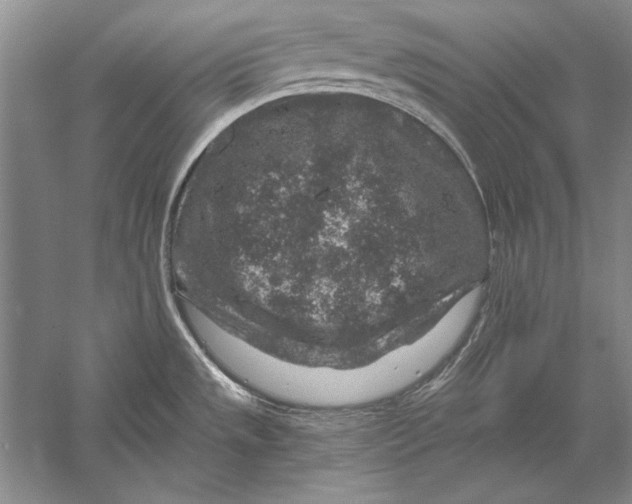 X0000056381533200509232211