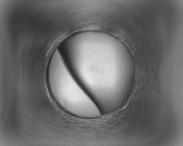 X0000057040001200509090828
