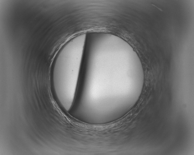 X0000057040002200509090828