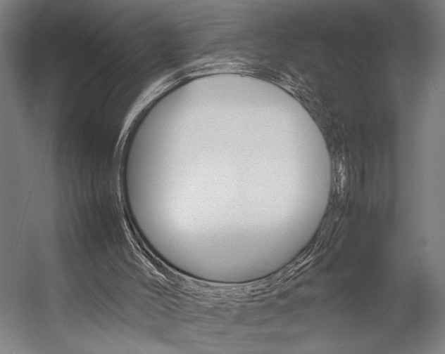 X0000057040004200509090828