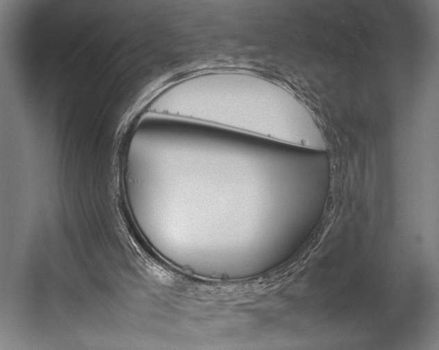 X0000057040005200509090828