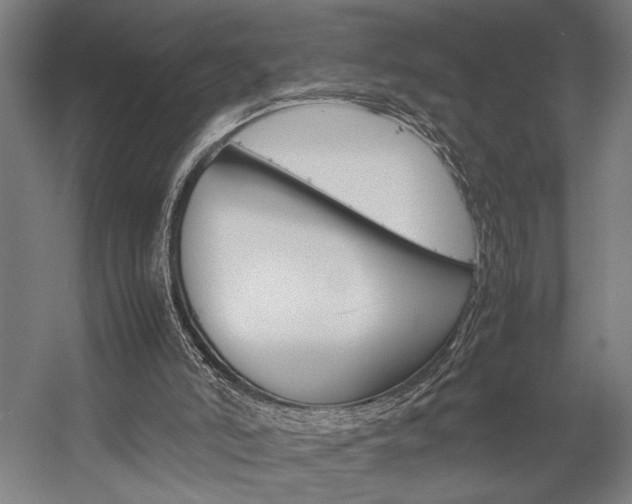 X0000057040006200509090828