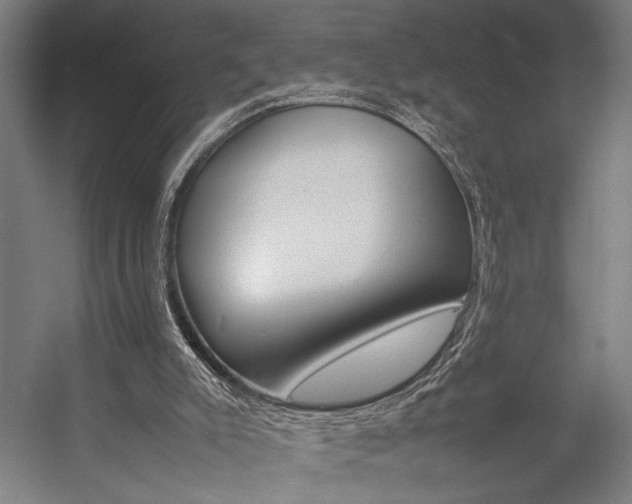 X0000057040007200509090828