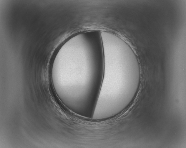 X0000057040008200509090828