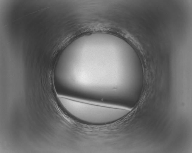 X0000057040009200509090828