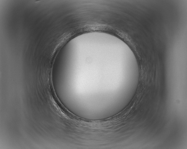 X0000057040010200509090828