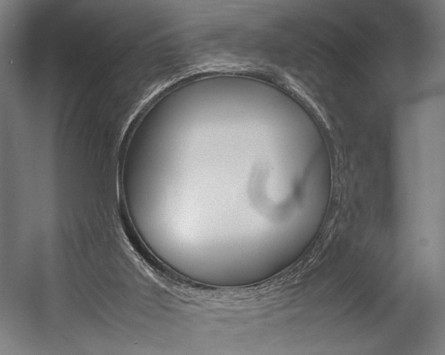 X0000057040011200509090828