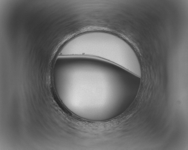 X0000057040015200509090828