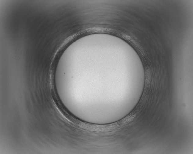 X0000057040016200509090828