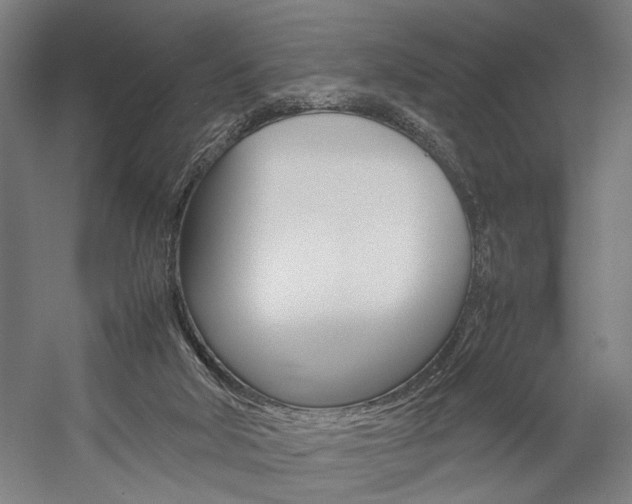 X0000057040018200509090828