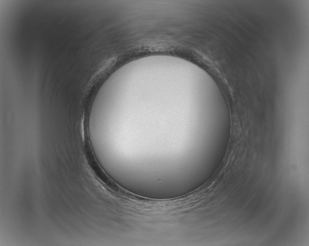 X0000057040019200509090828