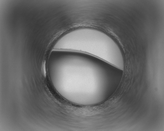 X0000057040020200509090828