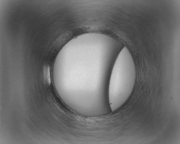 X0000057040022200509090828