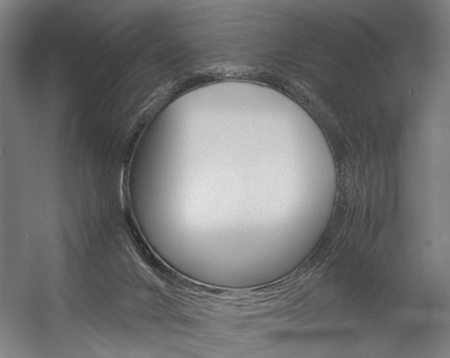 X0000057040024200509090828