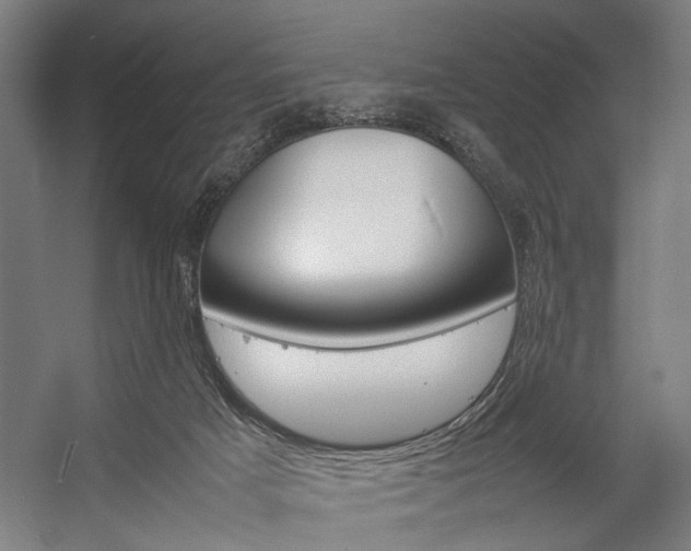 X0000057040025200509090828