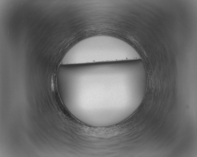 X0000057040026200509090828