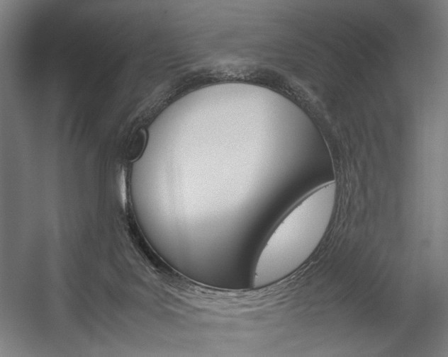 X0000057040027200509090828