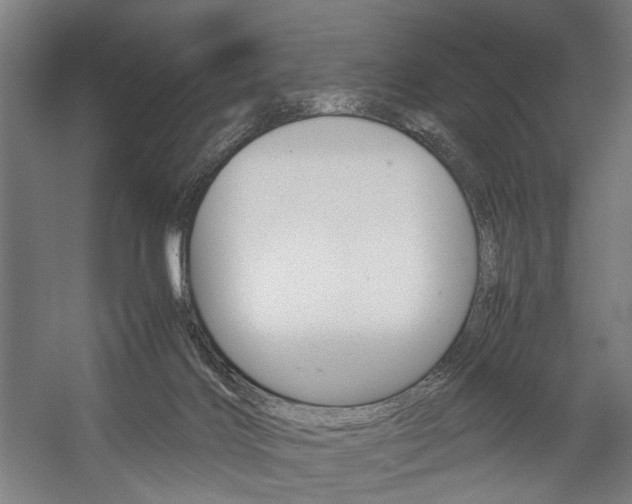 X0000057040028200509090828