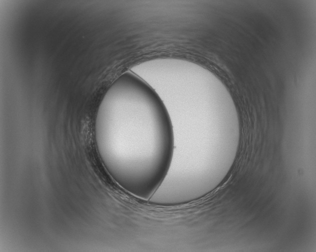 X0000057040029200509090828