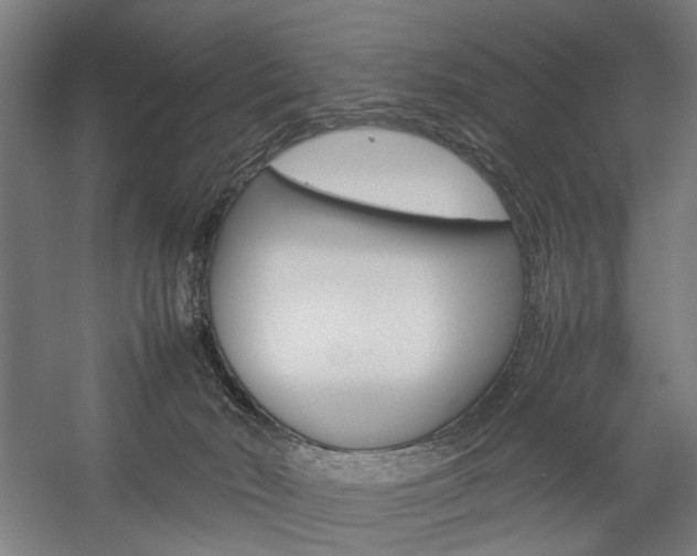 X0000057040030200509090828