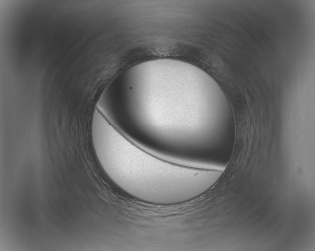 X0000057040031200509090828