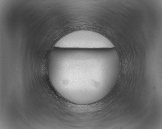 X0000057040034200509090828