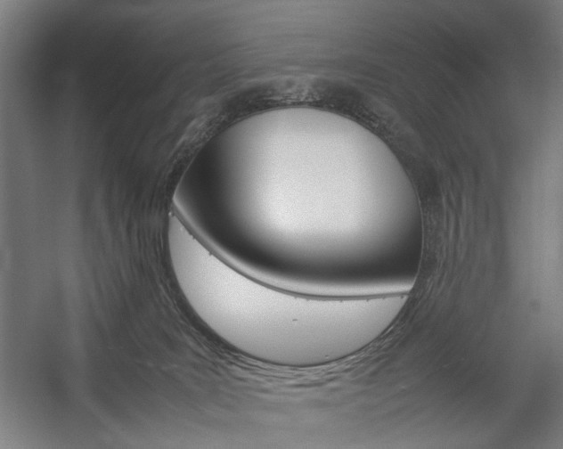 X0000057040035200509090828