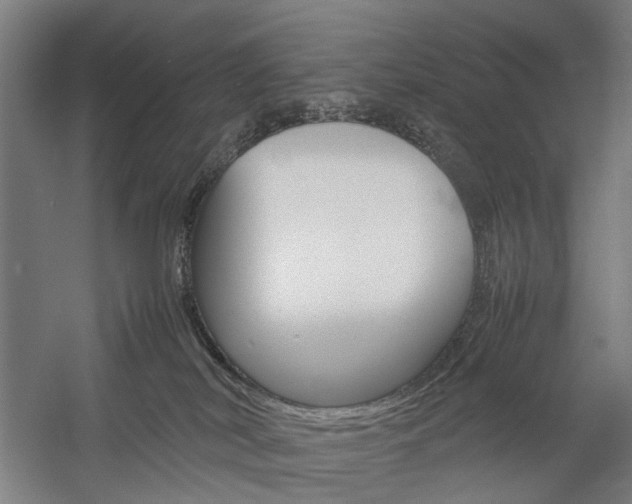 X0000057040038200509090828