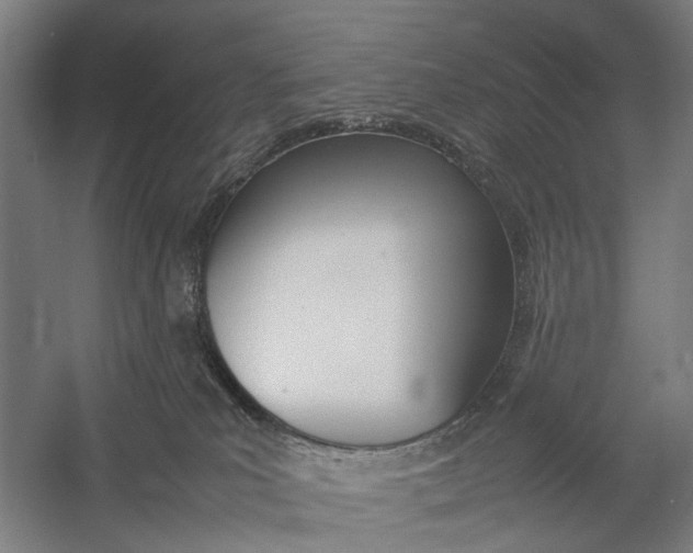 X0000057040039200509090828