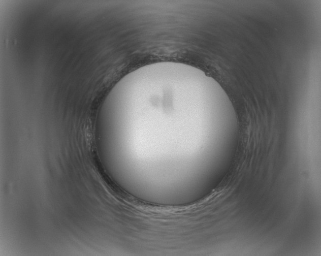 X0000057040040200509090828