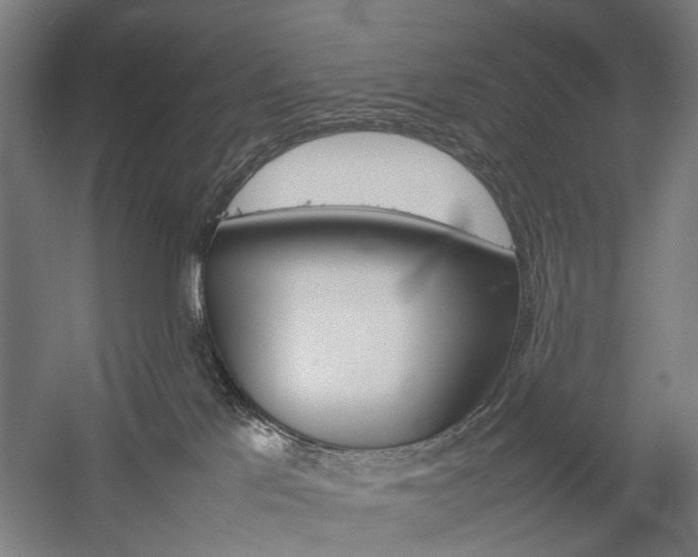 X0000057040041200509090828
