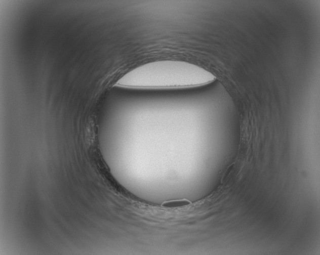 X0000057040043200509090828