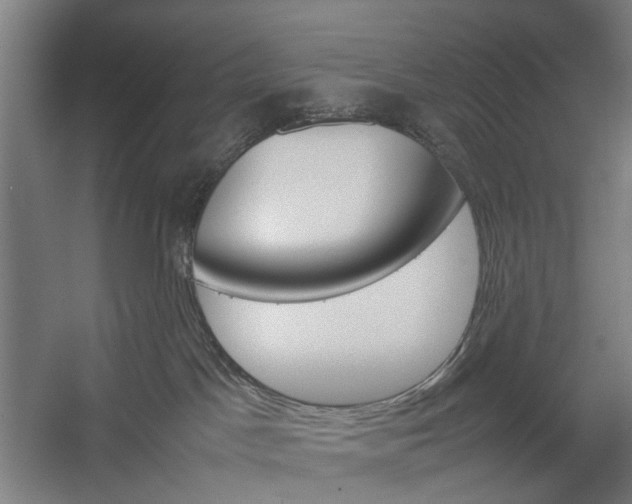 X0000057040045200509090828