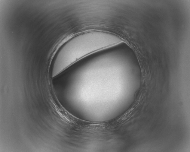X0000057040050200509090827