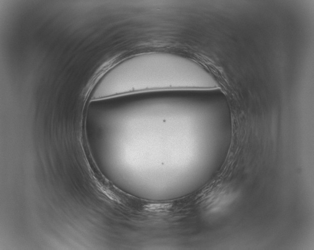 X0000057040051200509090827