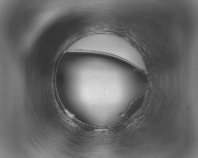 X0000057040052200509090827
