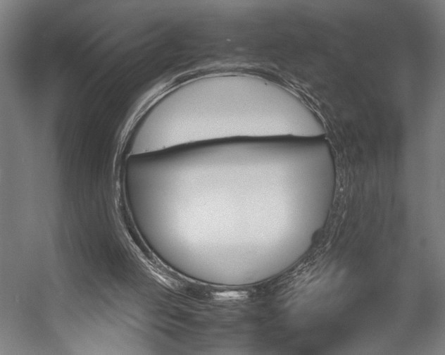 X0000057040053200509090827
