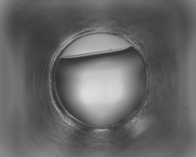 X0000057040055200509090827