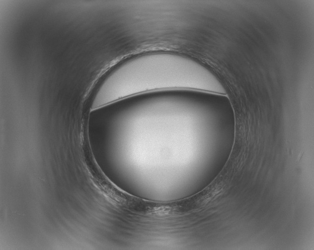 X0000057040064200509090827