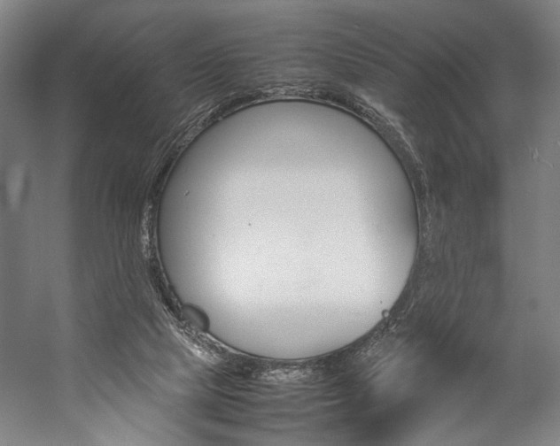 X0000057040065200509090827