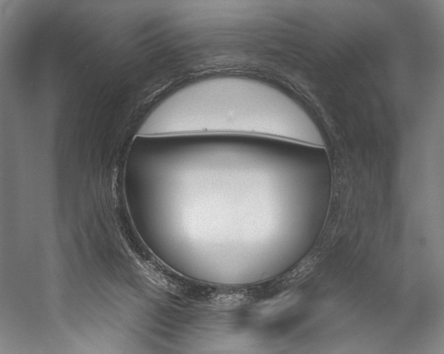 X0000057040066200509090827