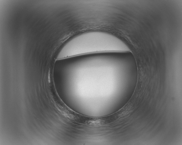 X0000057040068200509090827
