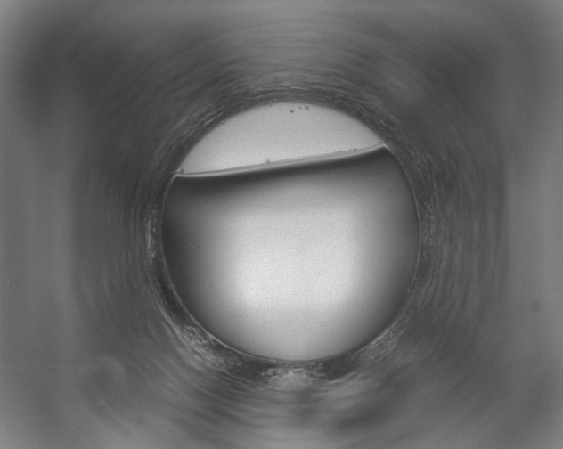 X0000057040074200509090827