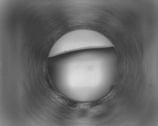 X0000057040078200509090827